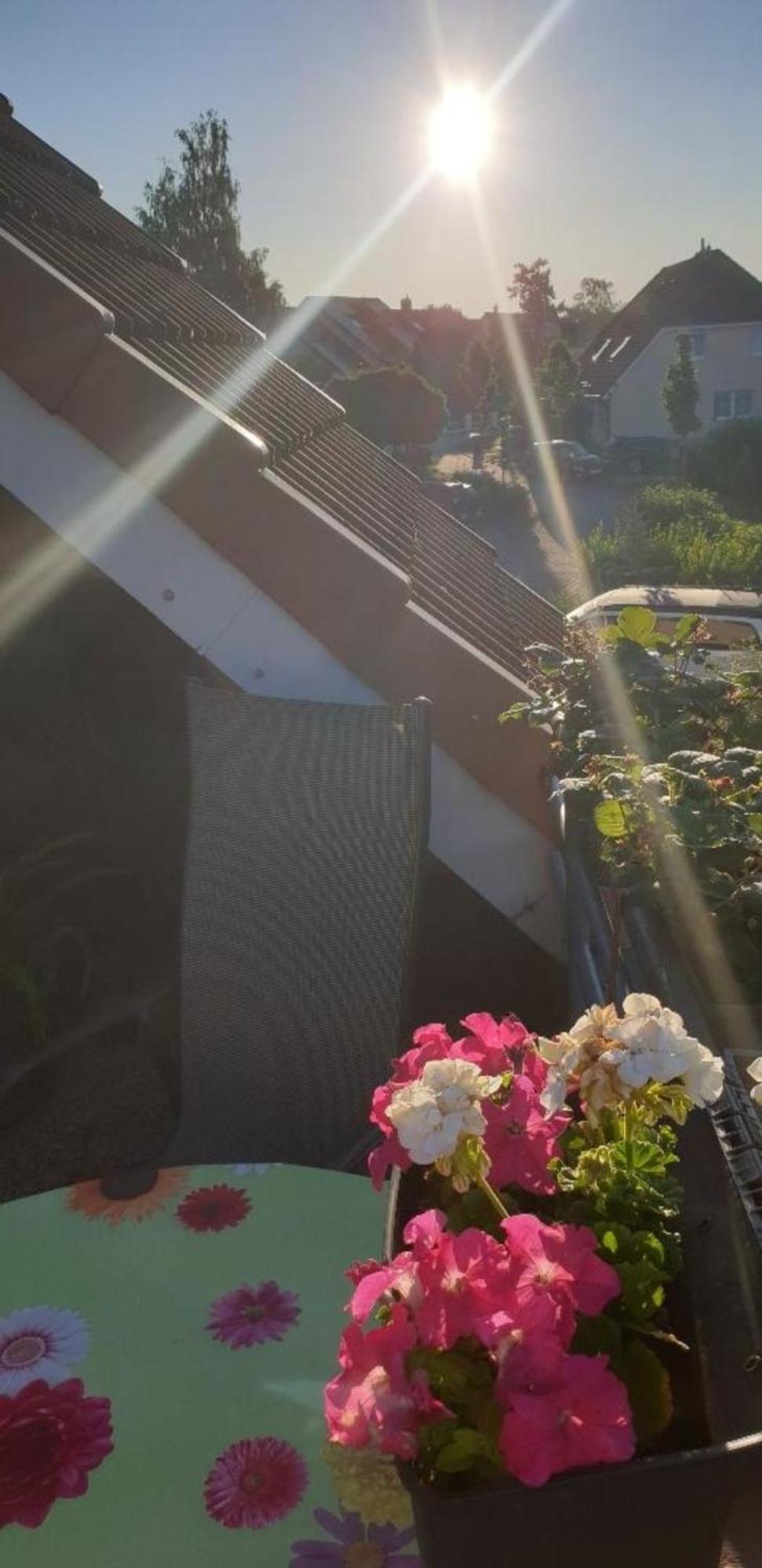 Ferienwohnung In Radeberg Bei Dresden Экстерьер фото